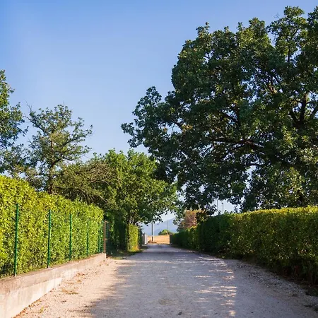 Le Colonne Cassino