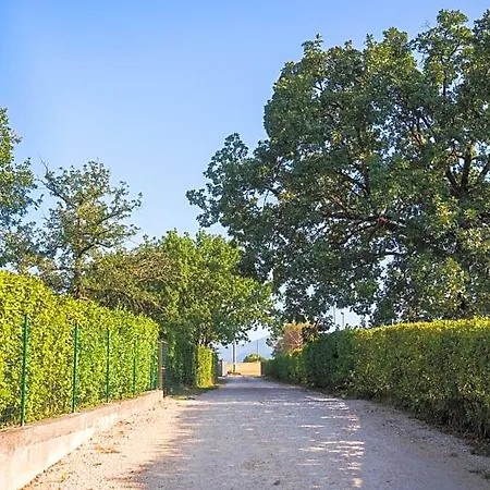Le Colonne Cassino